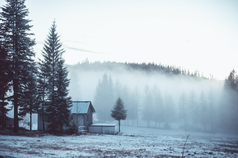 Small Cabin in Snow — White, Serene, Winter, Photograph, Trees, Fog
