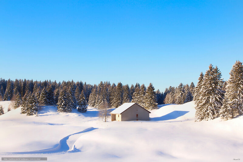 Small Cabin in Snow — White, Serene, Winter