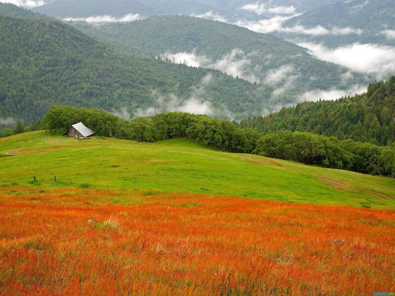 Small Cabin in Valley