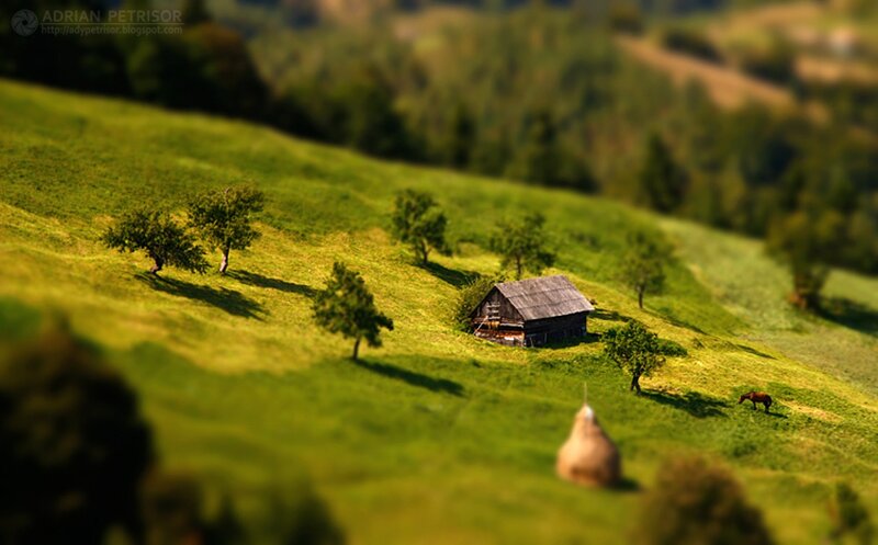 Small Cabin on Hillside — Green, Serene, Afternoon