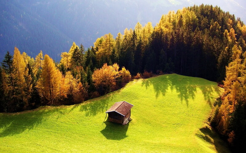 Small Cabin on Hillside — Green, Serene