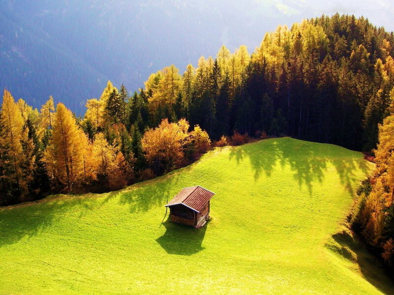 Small Cabin on Hillside — Green