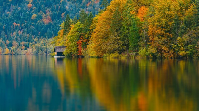 Small Cabin on Lake
