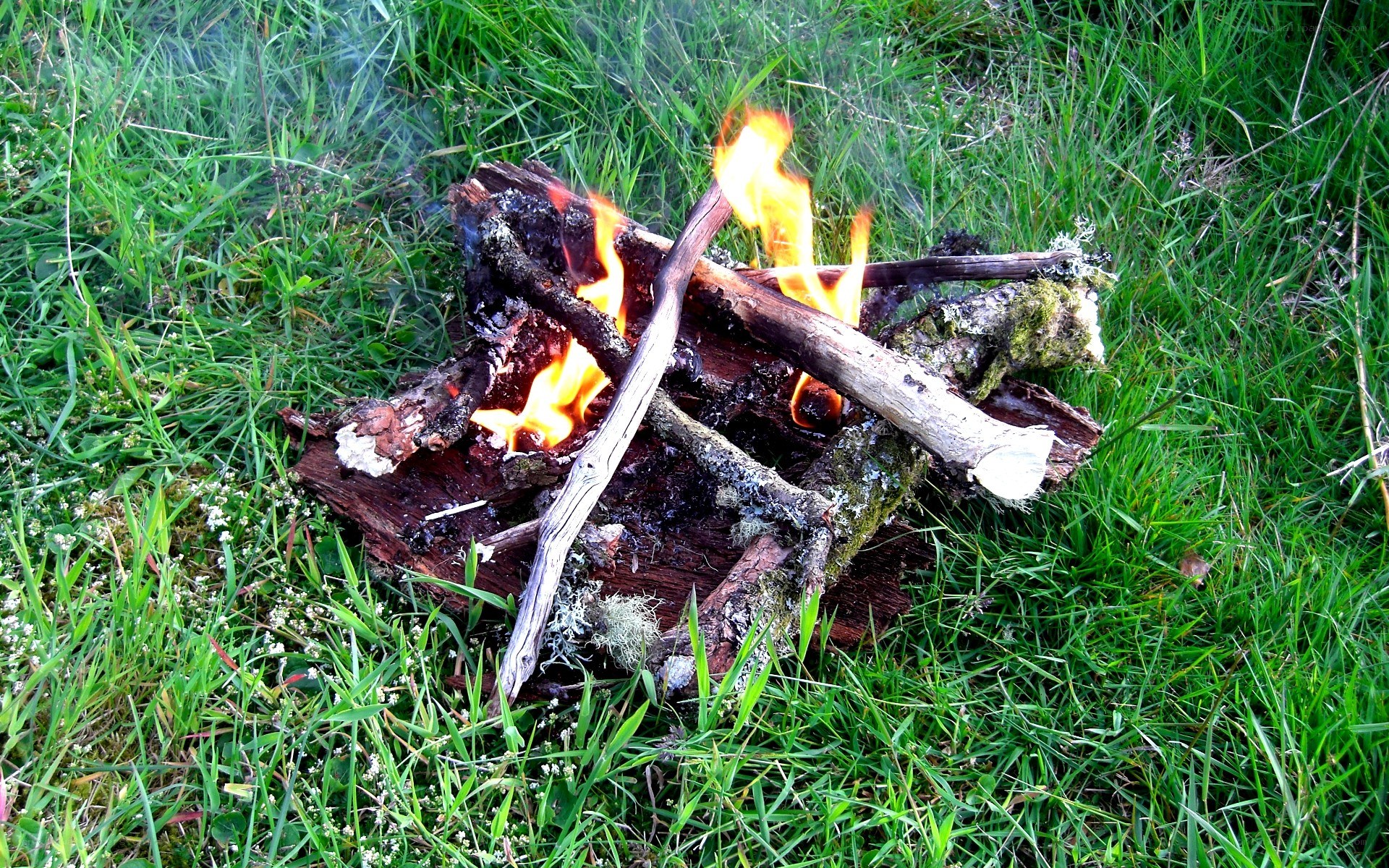 Small campfire in grass