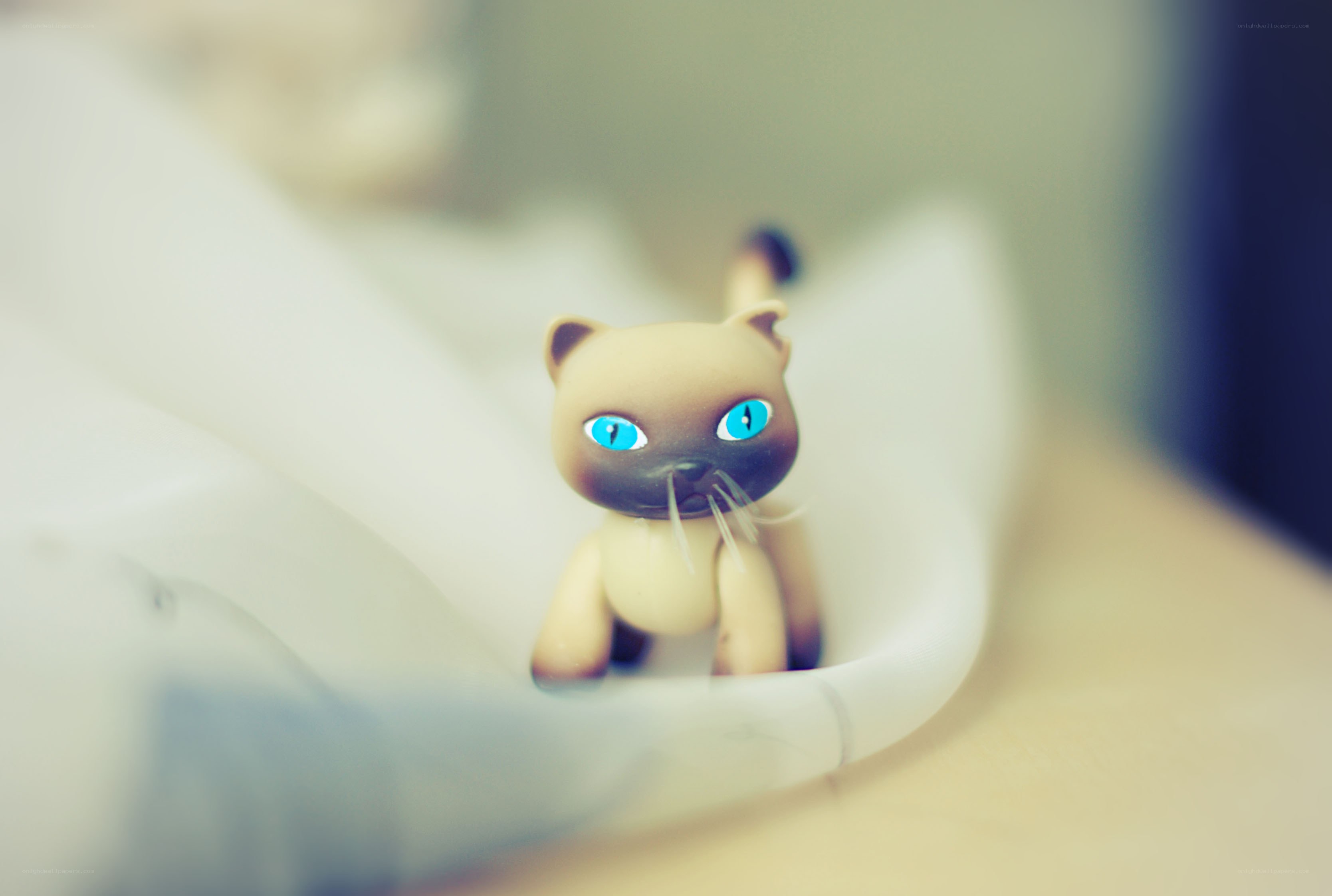 small cat figurine in bowl