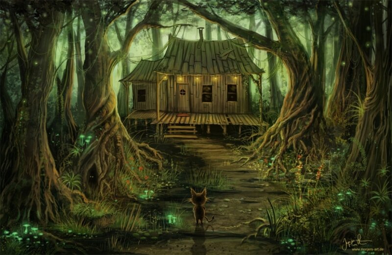 Small Cat in Forest