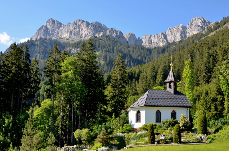 Small Chapel in Forest — Green, Serene