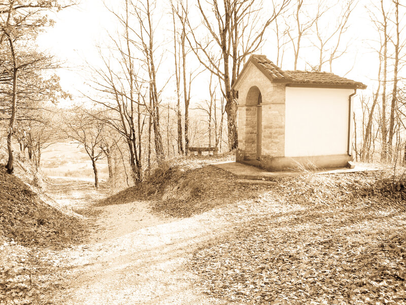 Small Chapel in Forest — Sepia