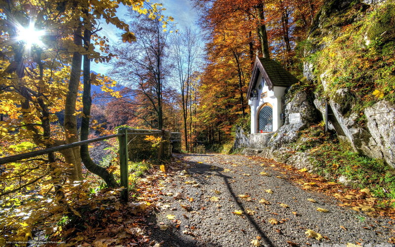 Small Chapel in Forest — Yellow, Serene, Autumn