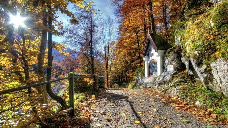 Small Chapel in Forest — Yellow, Serene