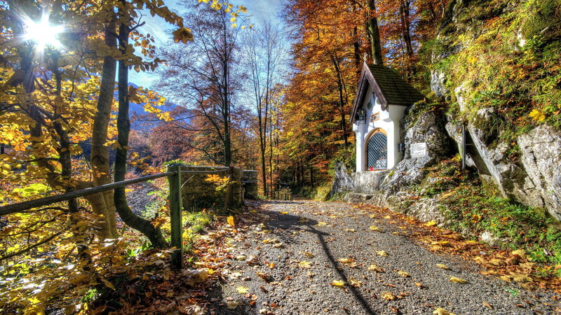 Small Chapel in Forest — Yellow