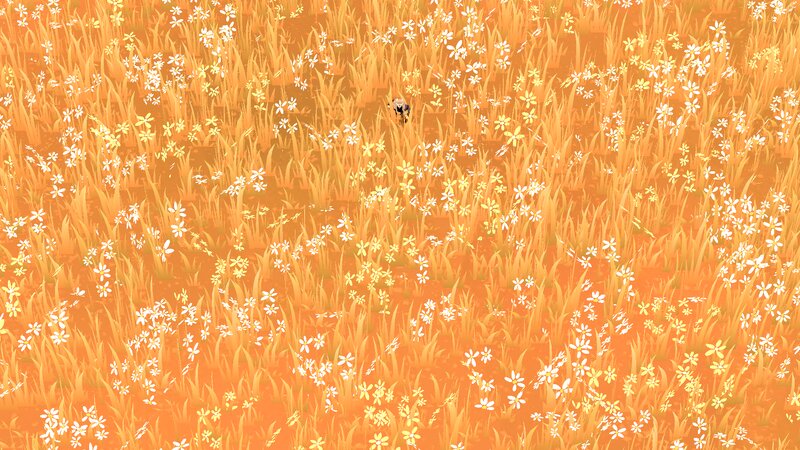 Small Creature in Field