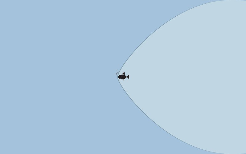 small fish in blue water