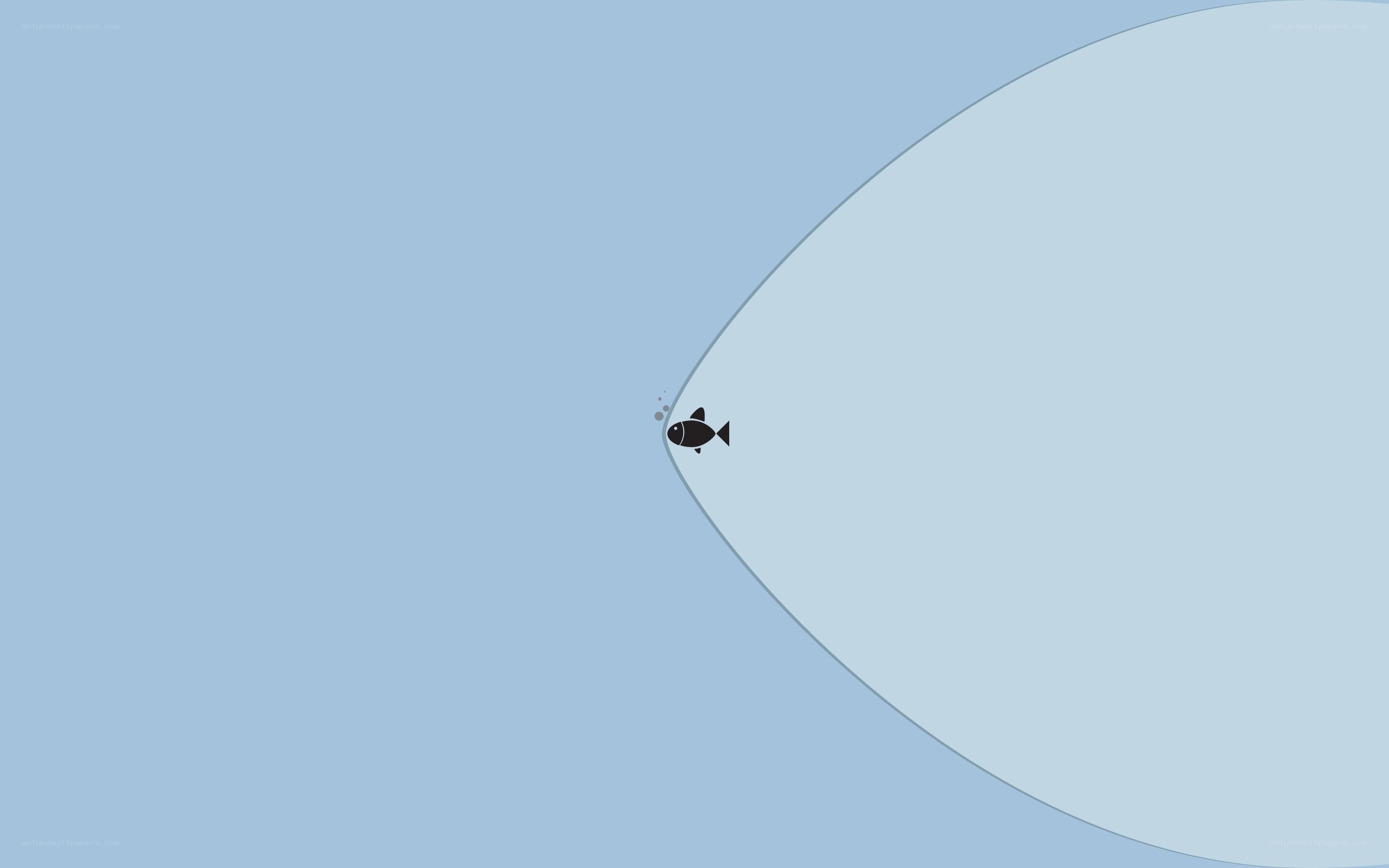 small fish in blue water