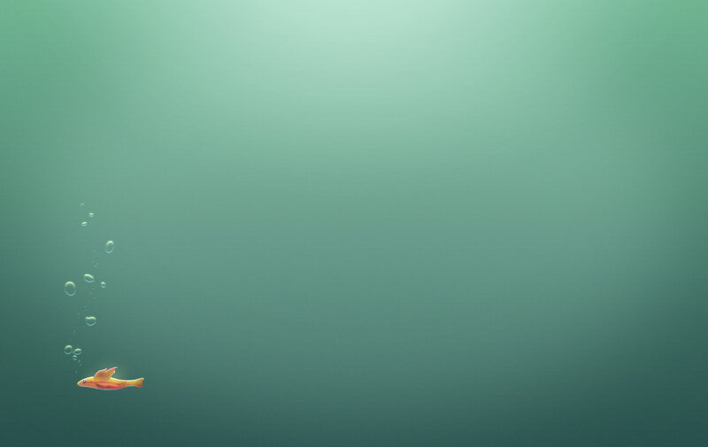 Small Fish Underwater