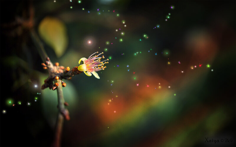 Small Flower on Branch