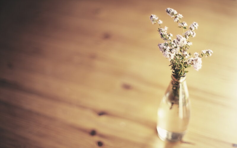 Small Flowers in a Vase