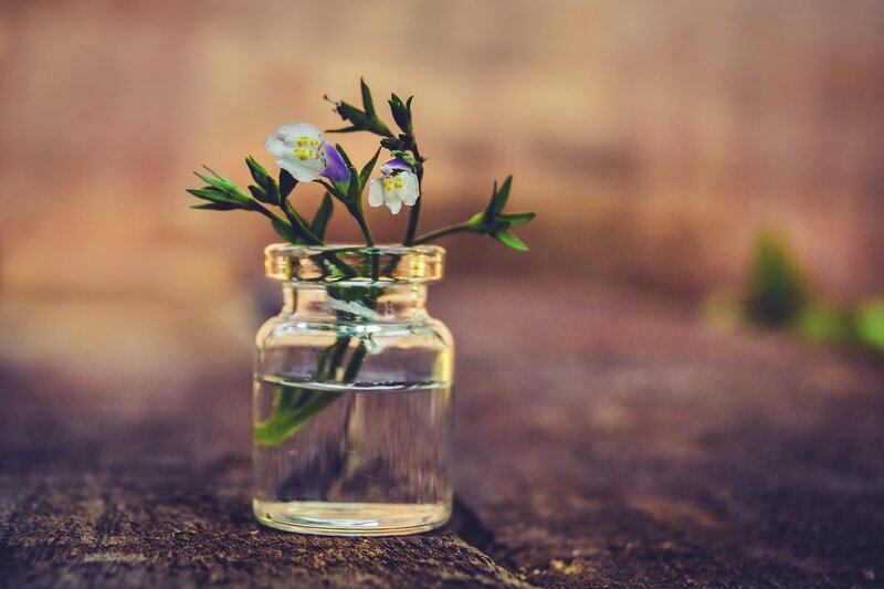 Small Flowers in Glass Jar
