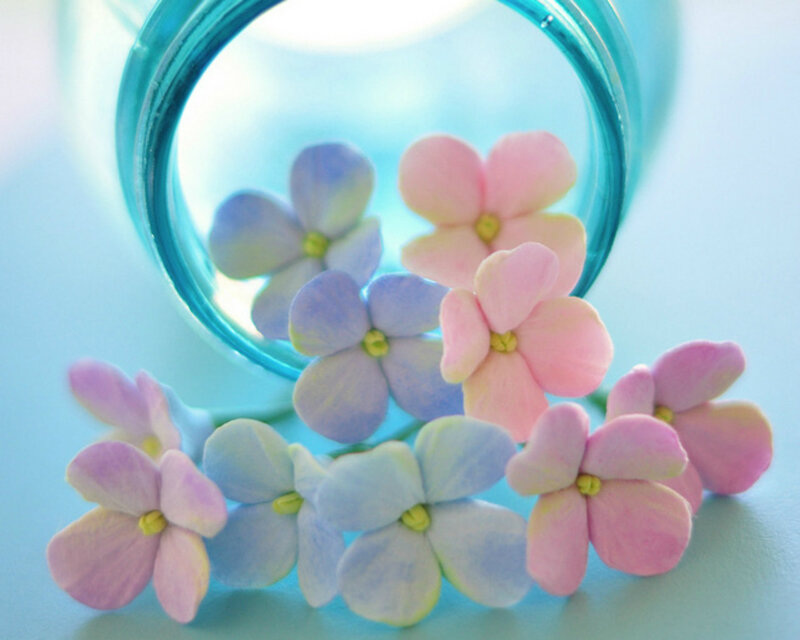Small Flowers in Jar