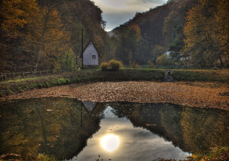Small House by Pond — Brown
