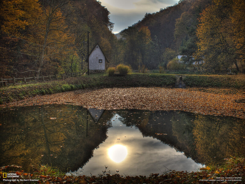 Small House by Pond