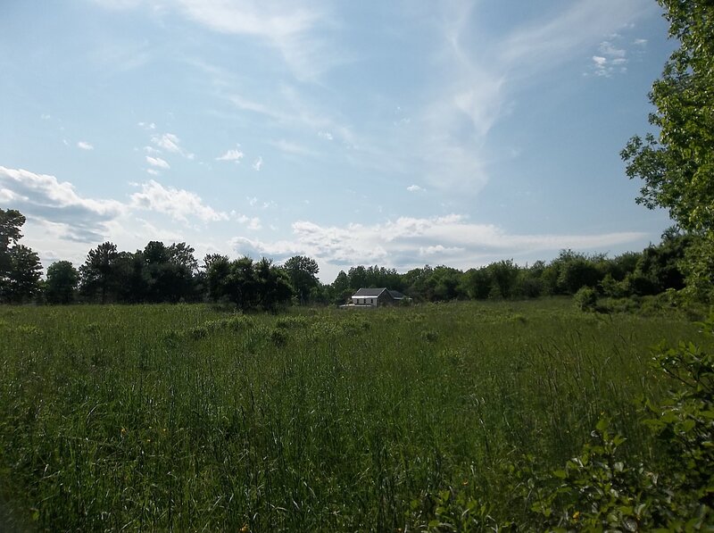 Small House in Field — Green, Serene