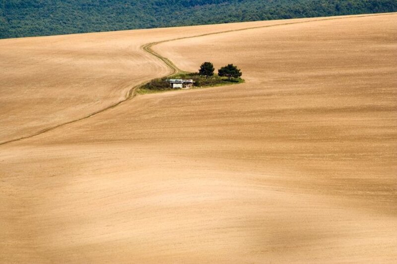 Small House in Field
