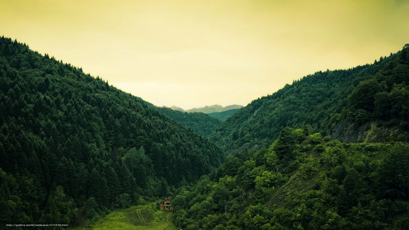 Small House in Forest Valley