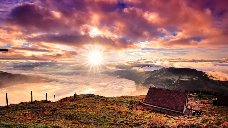 Small House on Hill — Purple