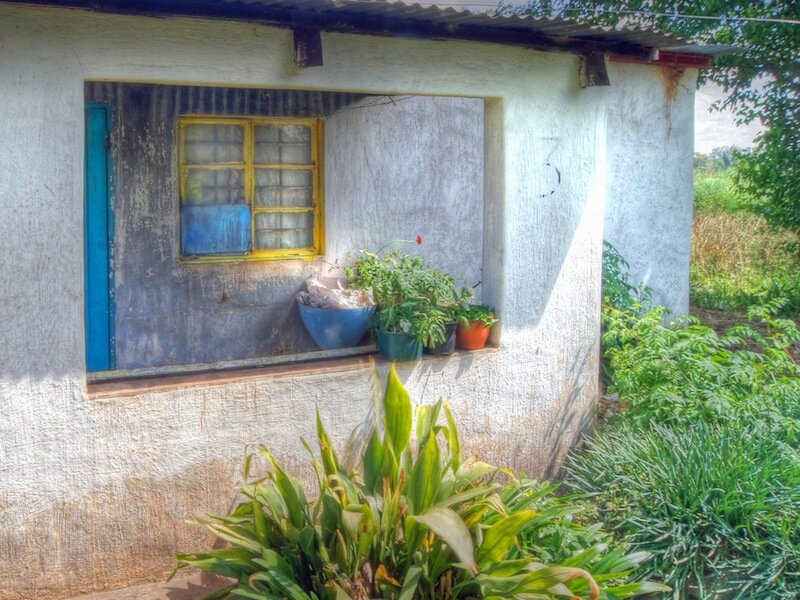 Small House with Window