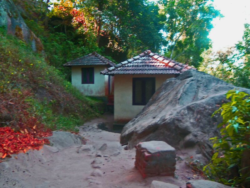 Small Houses in Forest