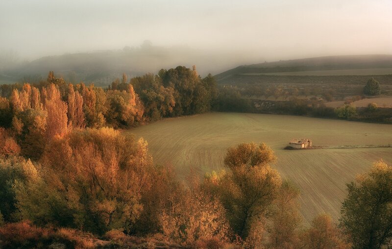 Small Hut in Field — Green