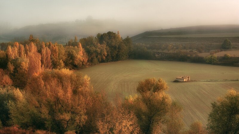 Small Hut in Field — Orange
