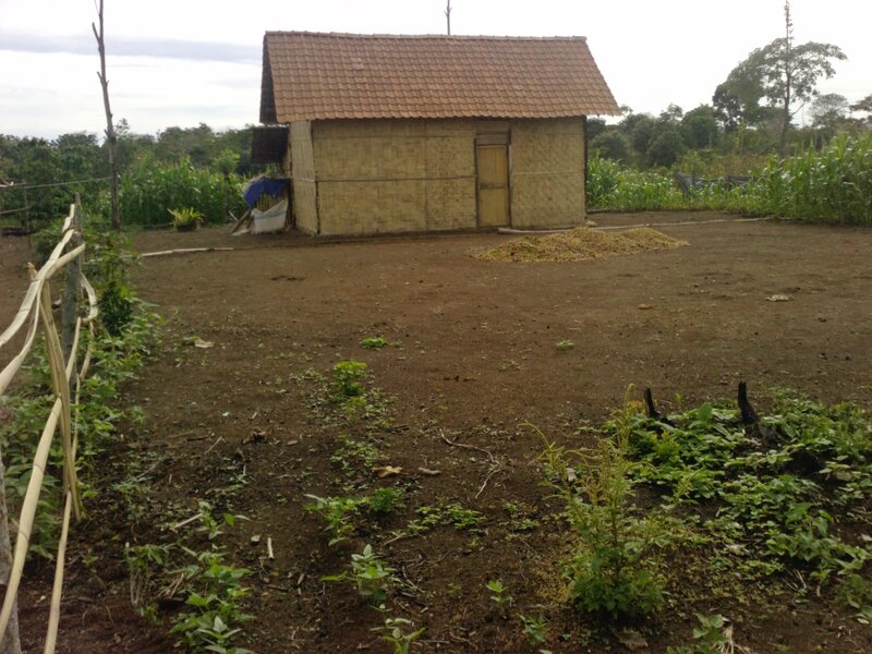 Small Hut in Field