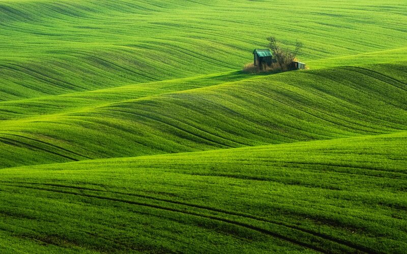 Small Hut in Green Fields