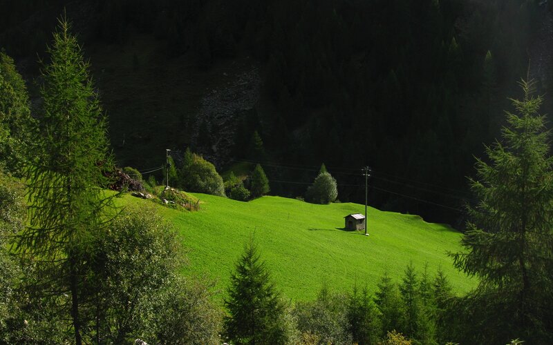Small Hut on Hillside