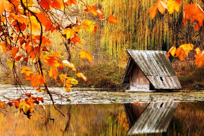 Small Hut on Pond