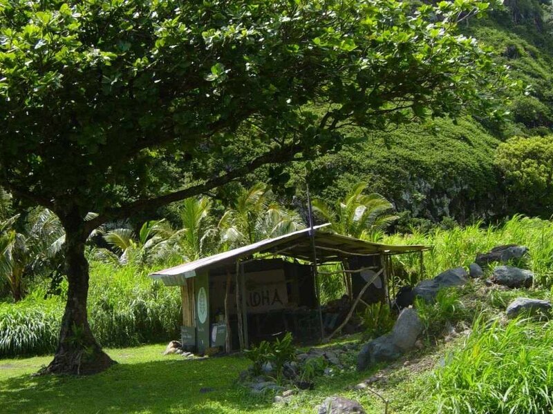 Small Hut under Tree