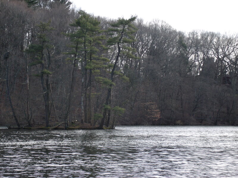 Small Island in Lake — Green, Calm