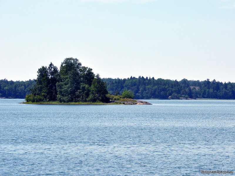 Small Island in Lake