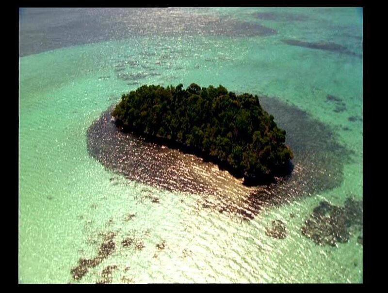 Small Island in Ocean — Green