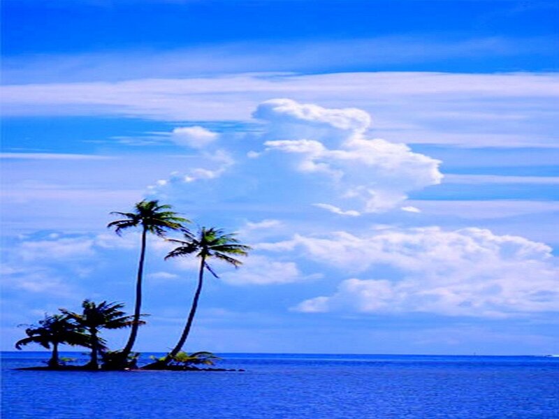 Small Island with Palm Trees — Blue