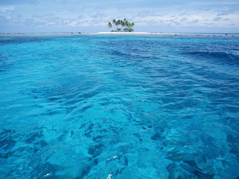 Small Island with Palm Trees