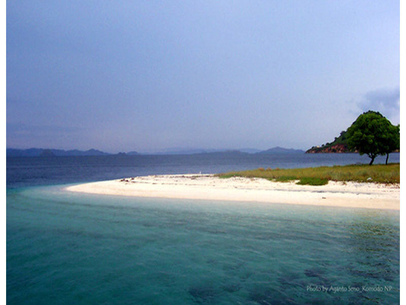 Small Island with Sandy Beach