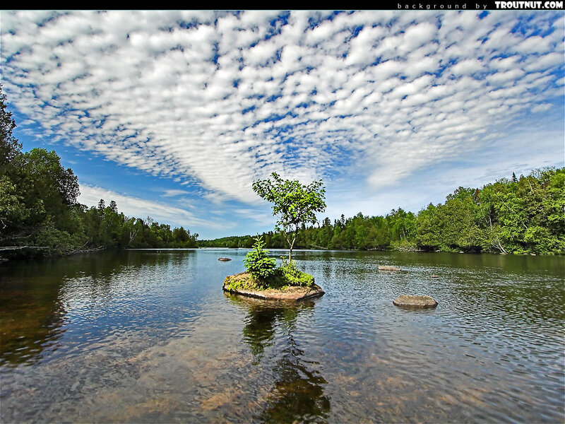 Small Island with Tree — Blue