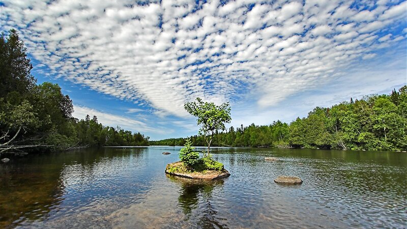 Small Island with Tree