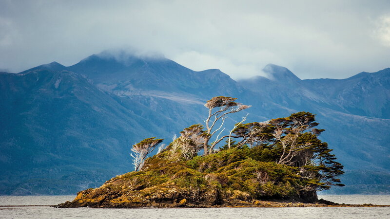 Small Island with Trees — Green, Serene