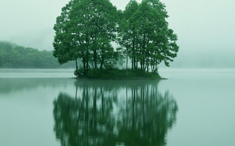 Small Island with Trees — Green