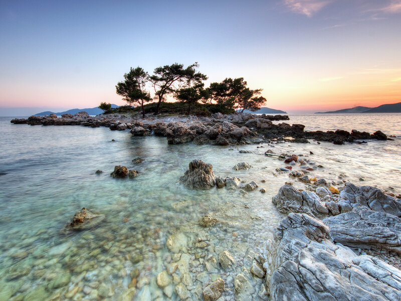 Small Island with Trees