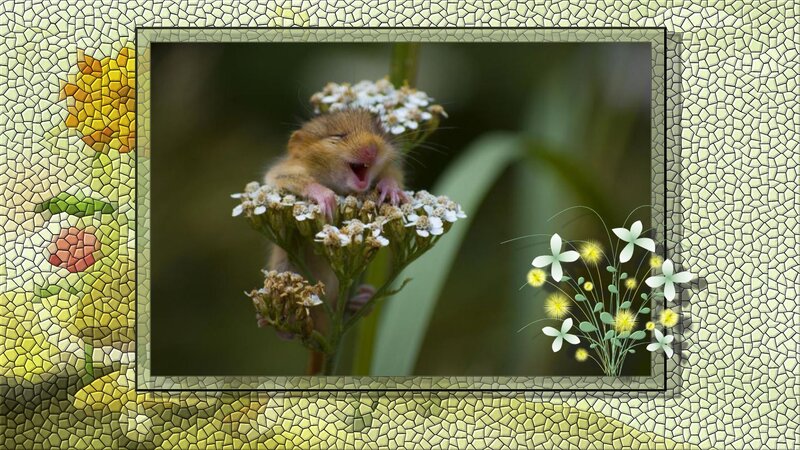 Small Mouse on Flowers — Green, Peaceful